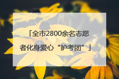 全市2800余名志愿者化身爱心“护考团”