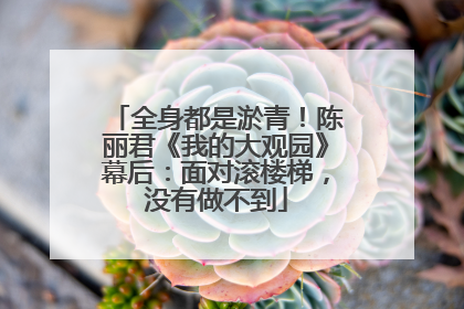 全身都是淤青！陈丽君《我的大观园》幕后：面对滚楼梯，没有做不到