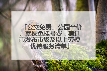 公交免费、公园半价、就医免挂号费，宿迁市发布市级及以上劳模优待服务清单