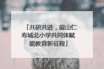 共研共进，眉山仁寿城北小学共同体赋能教育新征程