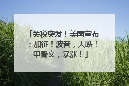 关税突发！美国宣布：加征！波音，大跌！甲骨文，暴涨！