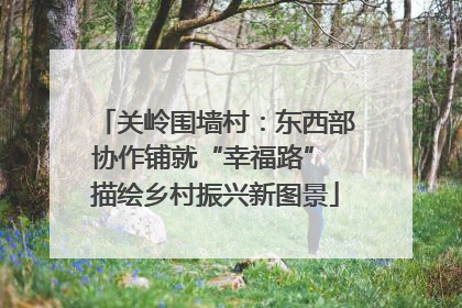 关岭围墙村：东西部协作铺就“幸福路” 描绘乡村振兴新图景