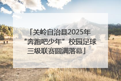 关岭自治县2025年“奔跑吧少年”校园足球三级联赛圆满落幕