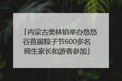 内蒙古美林镇举办悠悠谷首届粽子节600多名师生家长和游客参加