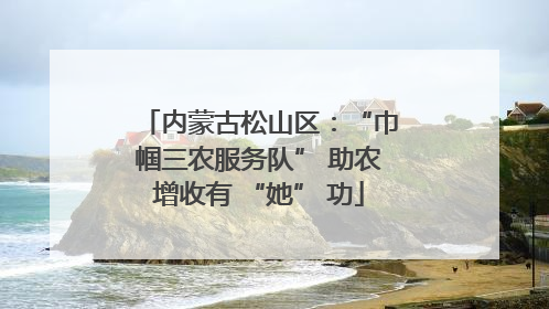 内蒙古松山区：“巾帼三农服务队” 助农增收有 “她” 功