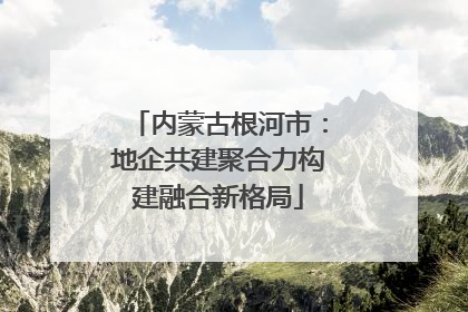 内蒙古根河市：地企共建聚合力构建融合新格局