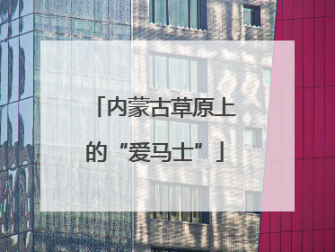 内蒙古草原上的“爱马士”