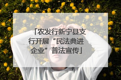 农发行新宁县支行开展“民法典进企业”普法宣传