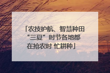 农技护航、智慧种田 “三夏”时节各地都在抢农时 忙耕种