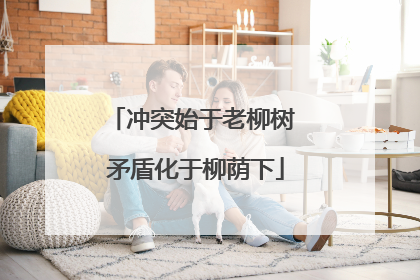 冲突始于老柳树 矛盾化于柳荫下