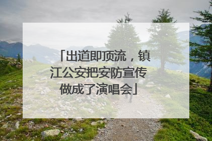 出道即顶流，镇江公安把安防宣传做成了演唱会
