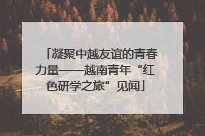 凝聚中越友谊的青春力量——越南青年“红色研学之旅”见闻