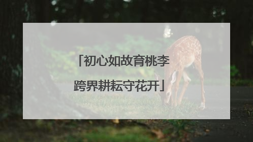 初心如故育桃李 跨界耕耘守花开