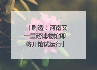 剧透：河南又一重磅博物馆即将开馆试运行