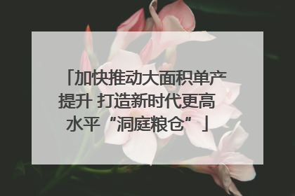 加快推动大面积单产提升 打造新时代更高水平“洞庭粮仓”