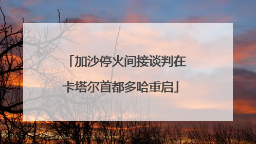 加沙停火间接谈判在卡塔尔首都多哈重启
