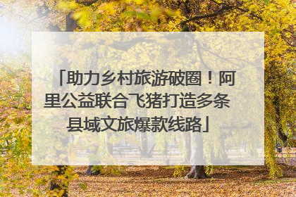 助力乡村旅游破圈！阿里公益联合飞猪打造多条县域文旅爆款线路