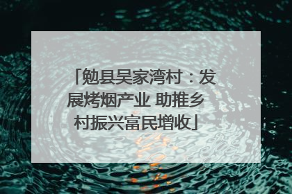 勉县吴家湾村：发展烤烟产业 助推乡村振兴富民增收