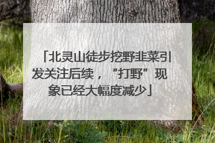 北灵山徒步挖野韭菜引发关注后续，“打野”现象已经大幅度减少