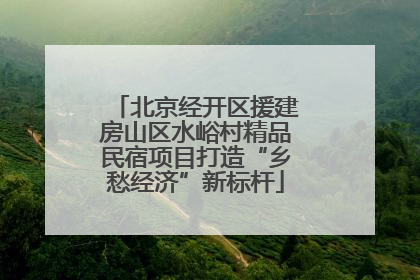 北京经开区援建房山区水峪村精品民宿项目打造“乡愁经济”新标杆