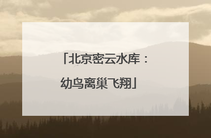 北京密云水库：幼鸟离巢飞翔