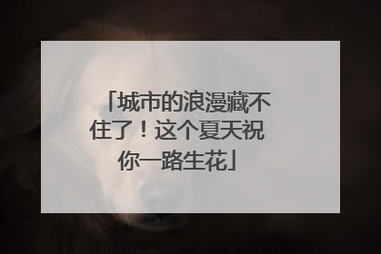 城市的浪漫藏不住了！这个夏天祝你一路生花