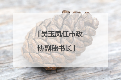 吴玉凤任市政协副秘书长