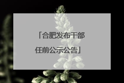 合肥发布干部任前公示公告