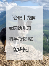 合肥市龙腾家园幼儿园：科学衔接 赋能成长