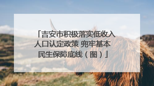吉安市积极落实低收入人口认定政策 兜牢基本民生保障底线（图）