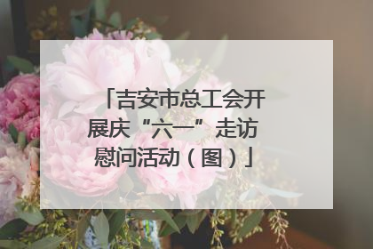 吉安市总工会开展庆“六一”走访慰问活动（图）