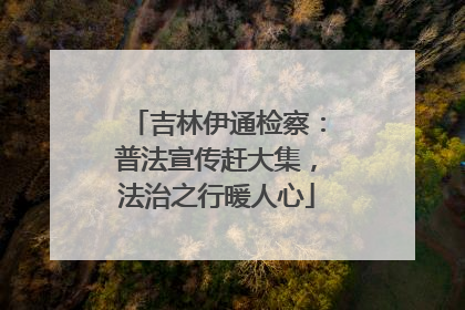 吉林伊通检察：普法宣传赶大集，法治之行暖人心