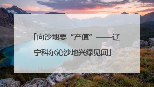 向沙地要“产值”——辽宁科尔沁沙地兴绿见闻