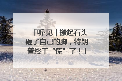 听·见｜搬起石头砸了自己的脚，特朗普终于“慌”了！