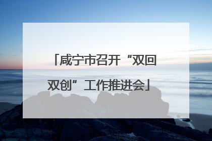 咸宁市召开“双回双创”工作推进会
