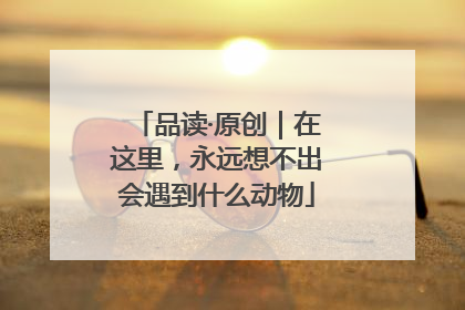 品读·原创｜在这里，永远想不出会遇到什么动物