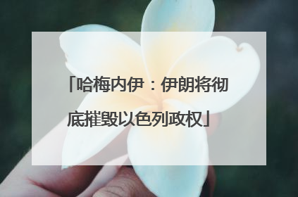 哈梅内伊：伊朗将彻底摧毁以色列政权