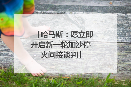 哈马斯：愿立即开启新一轮加沙停火间接谈判