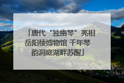 唐代“独幽琴”亮相岳阳楼博物馆 千年琴韵洞庭湖畔苏醒