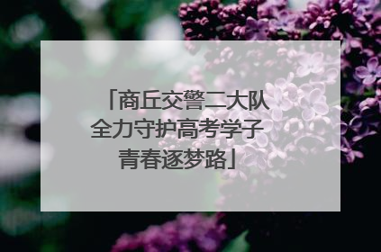 商丘交警二大队全力守护高考学子青春逐梦路