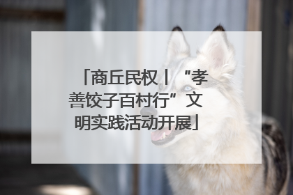 商丘民权丨“孝善饺子百村行”文明实践活动开展
