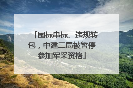 围标串标、违规转包，中建二局被暂停参加军采资格