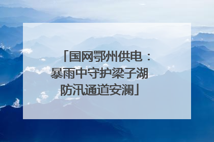 国网鄂州供电：暴雨中守护梁子湖防汛通道安澜