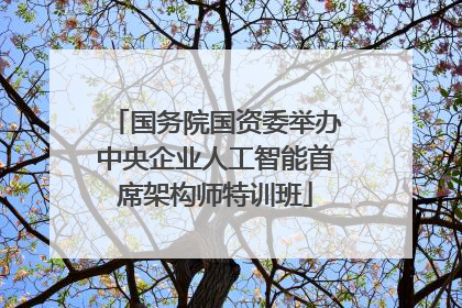 国务院国资委举办中央企业人工智能首席架构师特训班