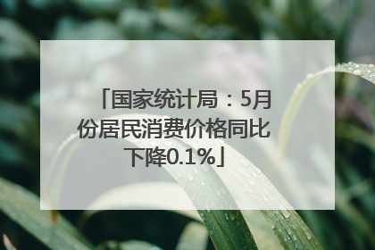 国家统计局：5月份居民消费价格同比下降0.1%