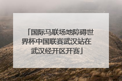 国际马联场地障碍世界杯中国联赛武汉站在武汉经开区开赛