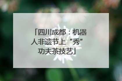 四川成都：机器人非遗节上“秀”功夫茶技艺