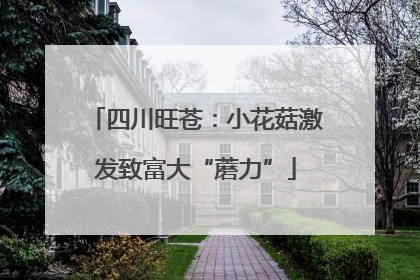 四川旺苍：小花菇激发致富大“蘑力”
