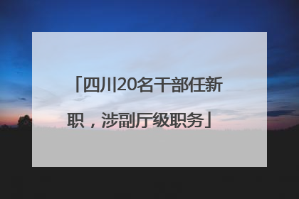 四川20名干部任新职，涉副厅级职务