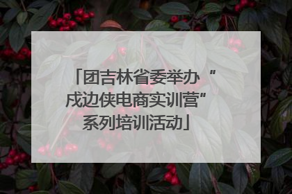 团吉林省委举办“戍边侠电商实训营”系列培训活动